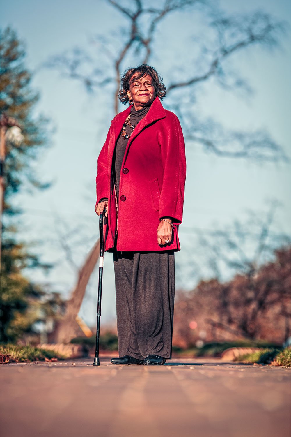 Big Picture Strategy Co. systems map