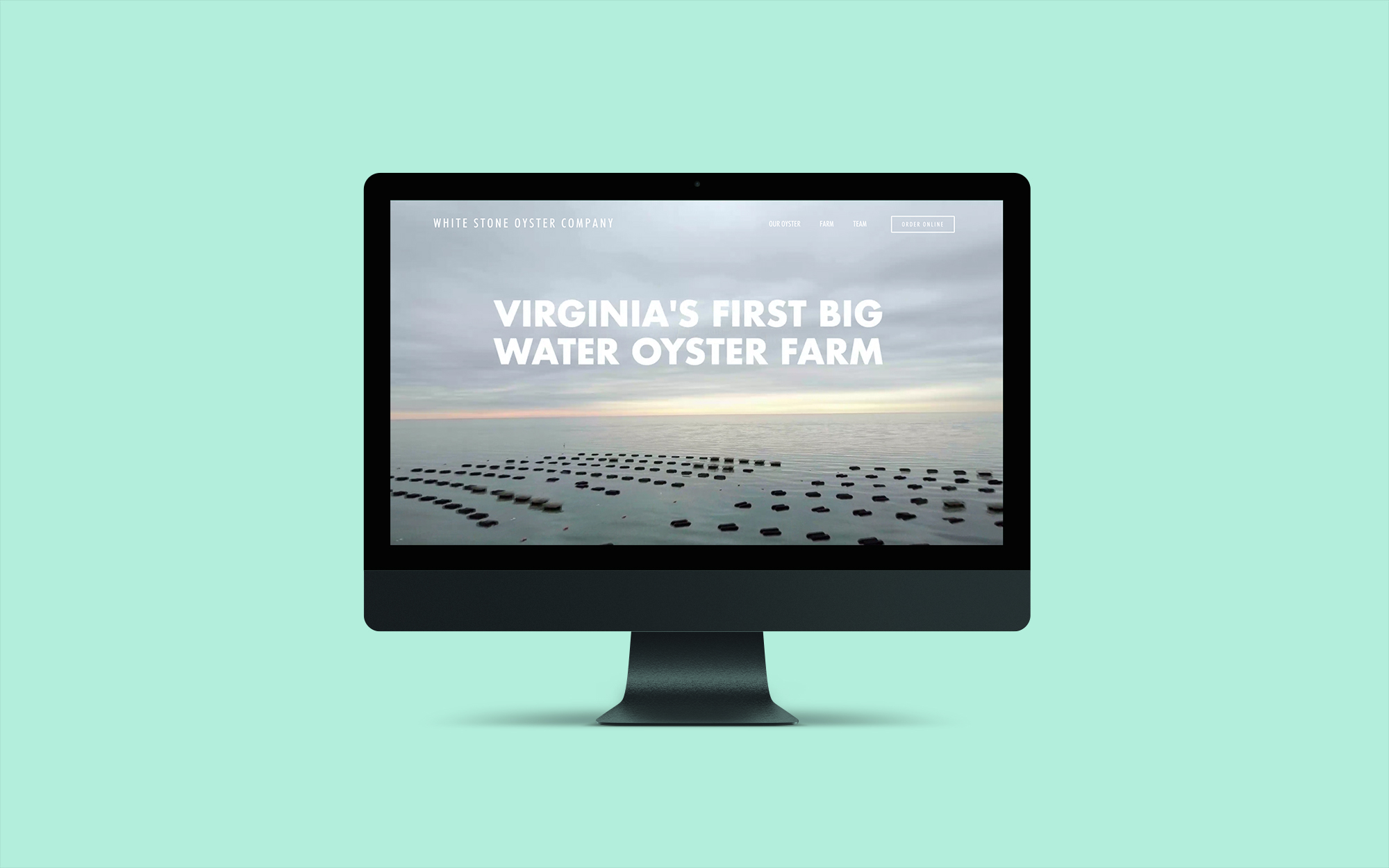 White Stone Oysters website on desktop — Virginia's fresh and salty oysters