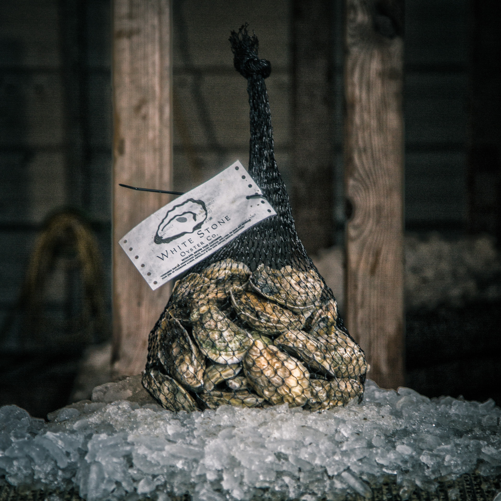 Mesh bag of oysters on ice