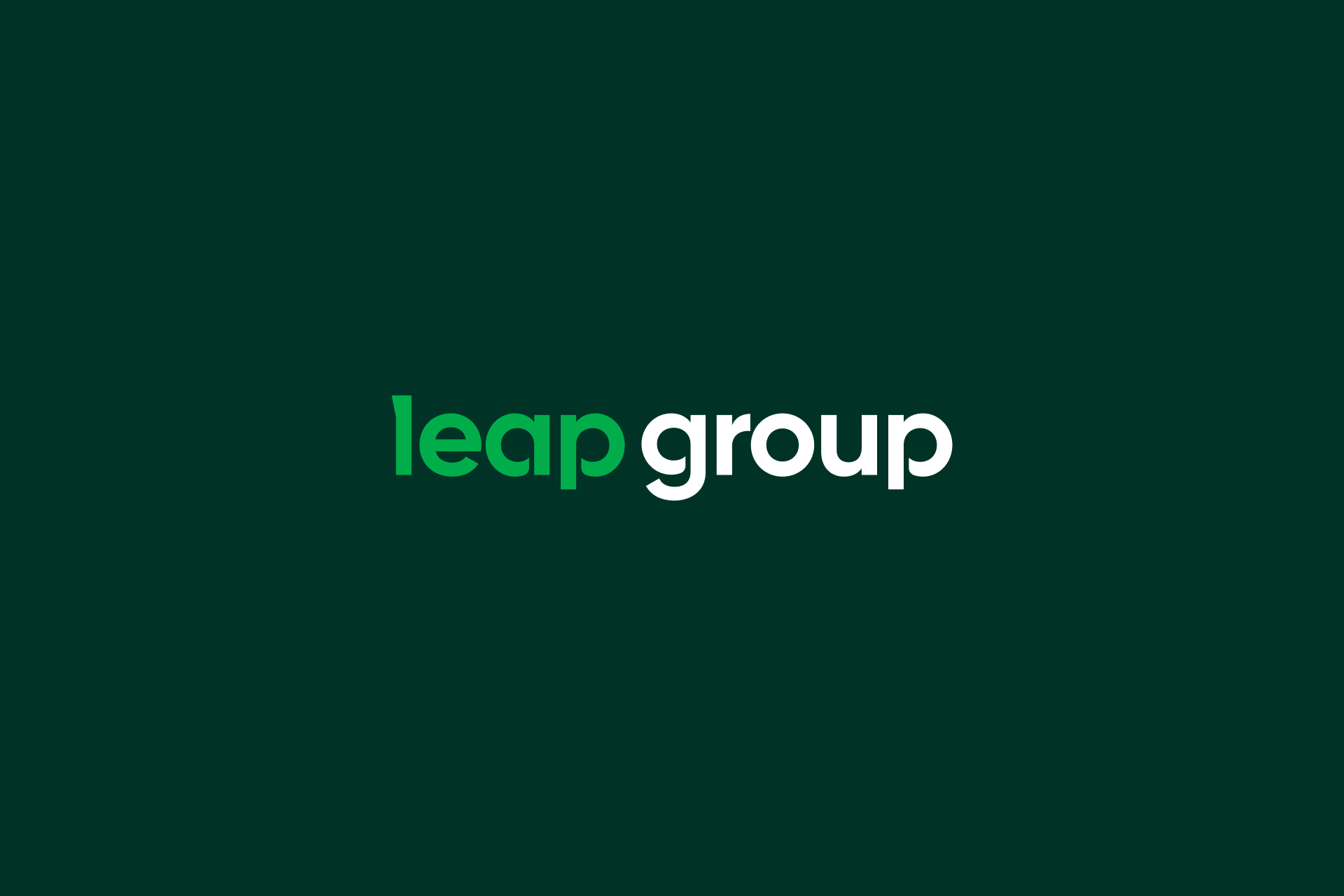 Leap Group Project Preview